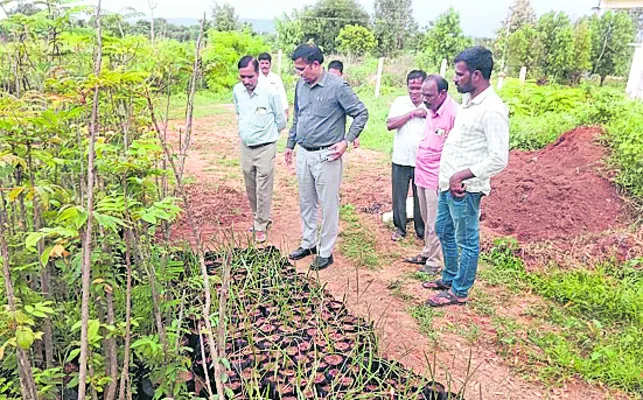 37లక్షల మొక్కలు నాటడమే లక్ష్యం