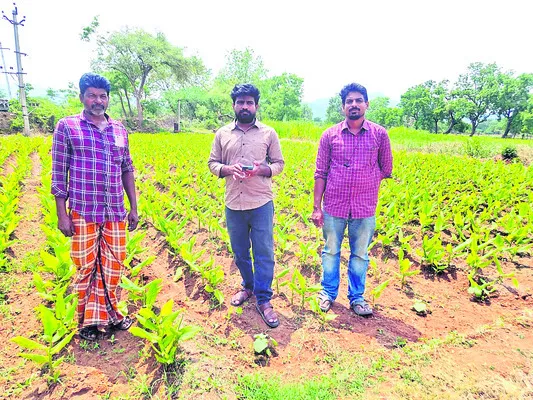 14లోపు రైతులు పంటల బీమాకు దరఖాస్తు చేసుకోవాలి