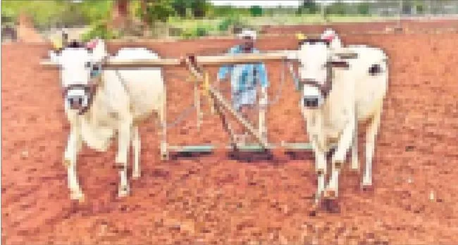 అందని
