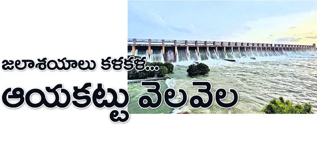 పాలకు