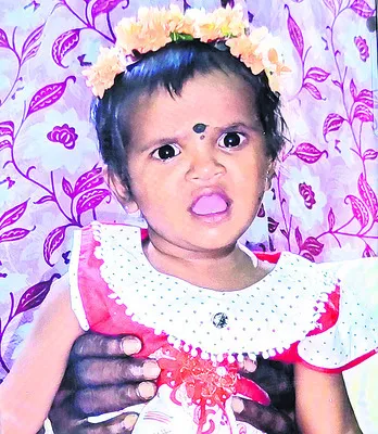 ట్రాల