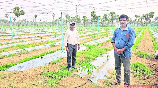 ప్రోత