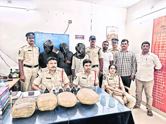 5 నెల