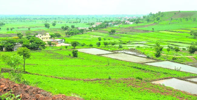 పరుచుకున్న పచ్చదనం