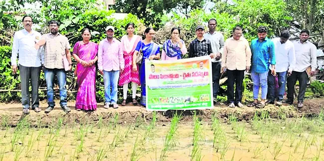 వరిలో యాజమాన్యంతోనే అధిక దిగుబడి