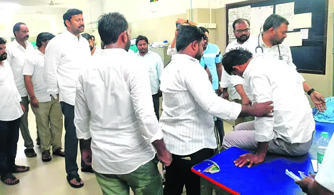 పులివ