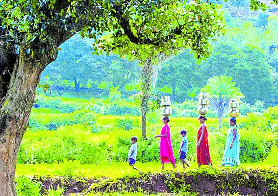 ట్రైబ