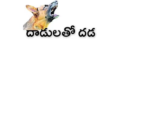 వరంగల