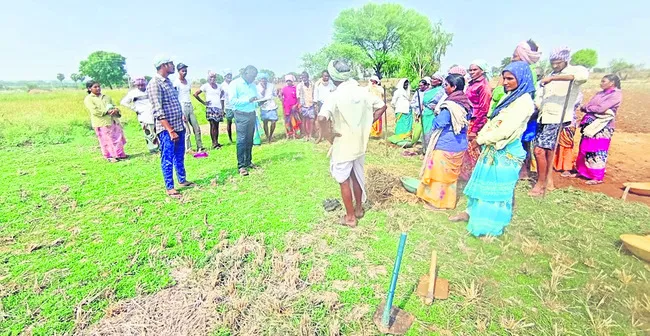 ఉపాధి