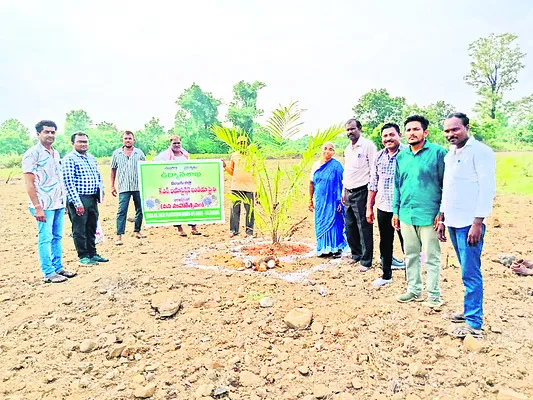 ఆయిల్‌పామ్‌ సాగుతో అధిక లాభాలు