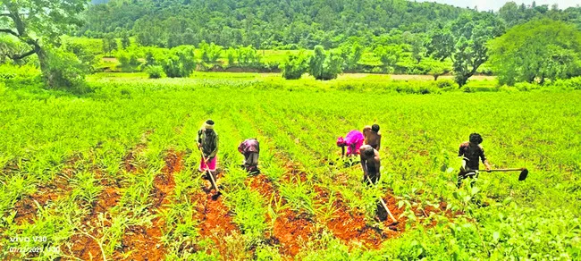 దయనీయ