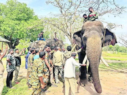 కుంకీ