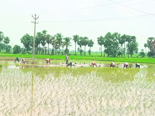 వర్షం