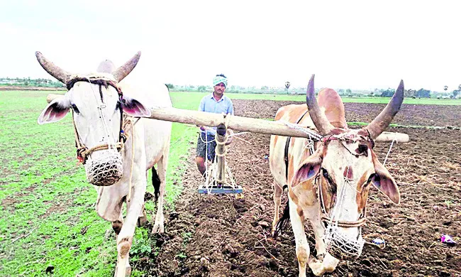 కౌలు చెల్లు.. బతుకు ఘొల్లు! 
