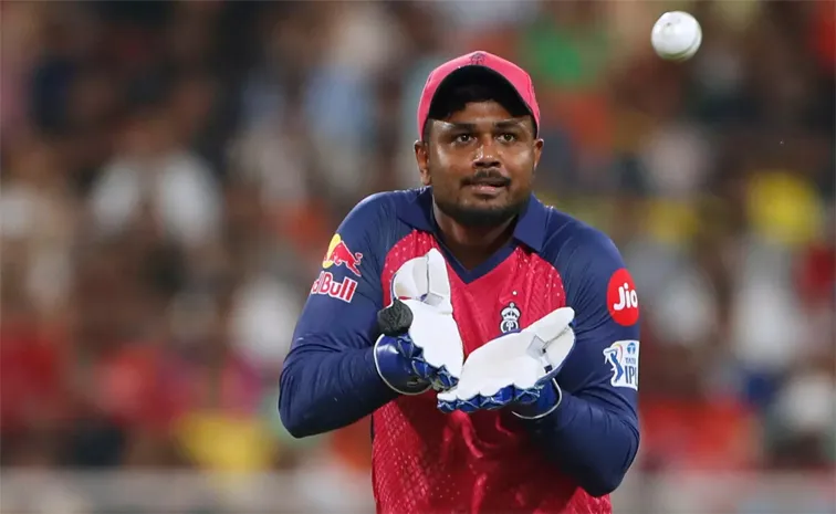 No Sanju Samson In Duleep Trophy, South Zone Snubs RR Skipper For Ex CSK Player
