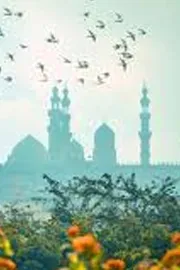  Islam Velugu: Success comes through service8