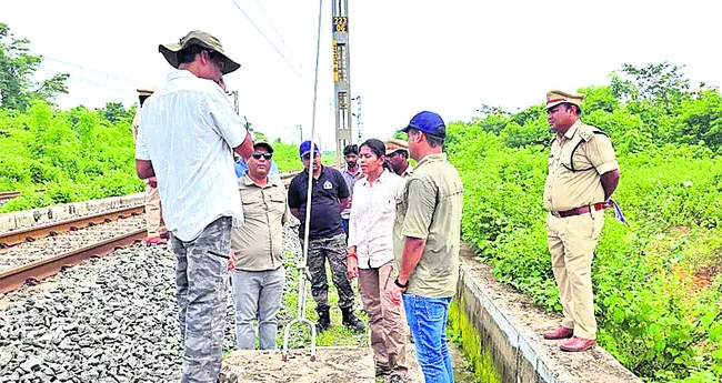 వన్యప్రాణుల రాకపోకలకు వీలుగా అండర్పాస్లు