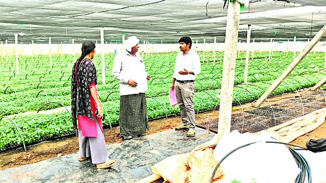 నేడు కాళేశ్వరాలయంలో వరలక్ష్మీవ్రతాలు