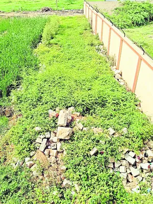 పాలకూట విషం