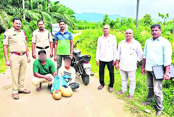 గంజాయి తరలిస్తున్న ఇద్దరి అరెస్టు 