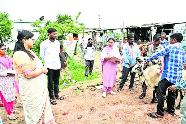 పశువులకు వ్యాధులు సోకకుండా చూడాలి