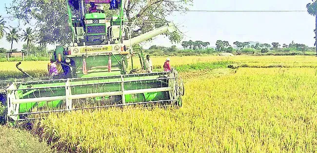 దళారు