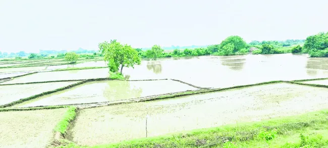 పొంగి