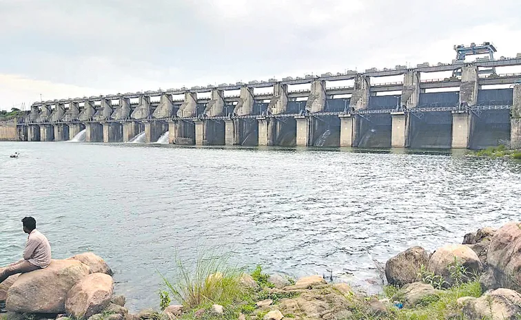 Dam Safety Review Panel in report to Telangana Govt