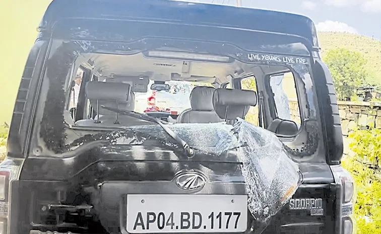 TDP Goons Attack On YSRCP Leaders: Andhra Pradesh
