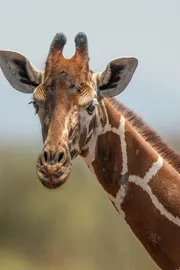 Believe it or not  some interesting facts8