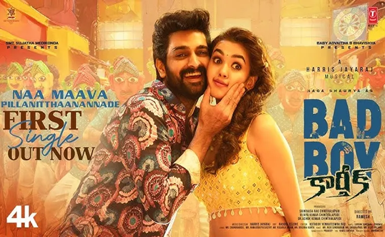 Naga Shaurya Movie Bad Boy Karthik First Song out