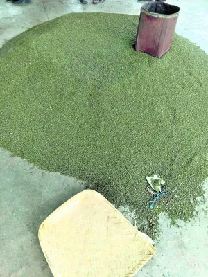 విత్త