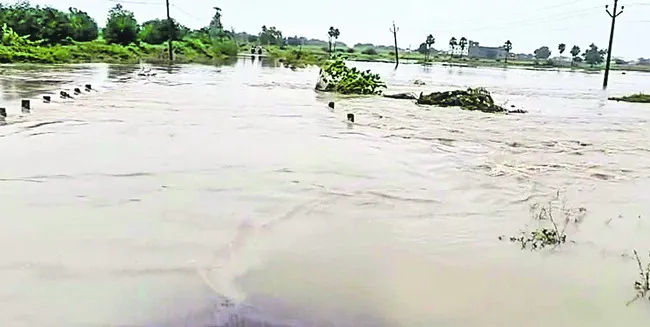 పొంగి