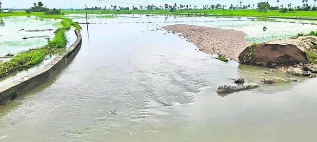 ముంచె