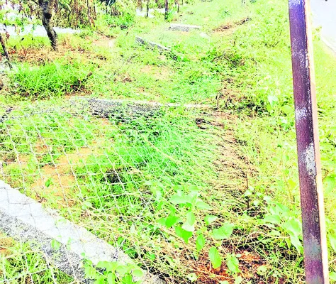 ఆగని ఏనుగుల దాడులు