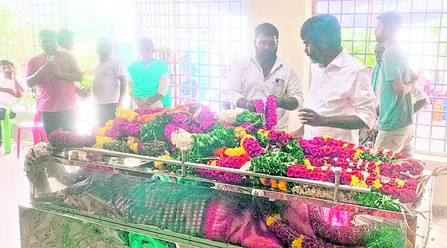 జెడ్ప