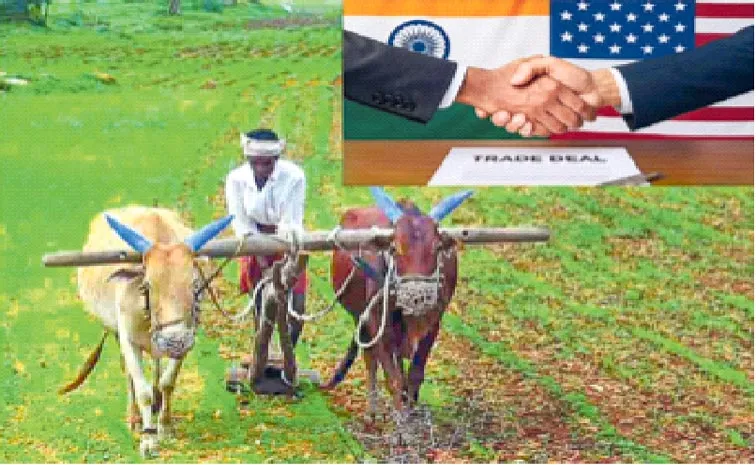 SBI Report Calls US Tariffs on Indian Goods Bad Policy Hurting Americans