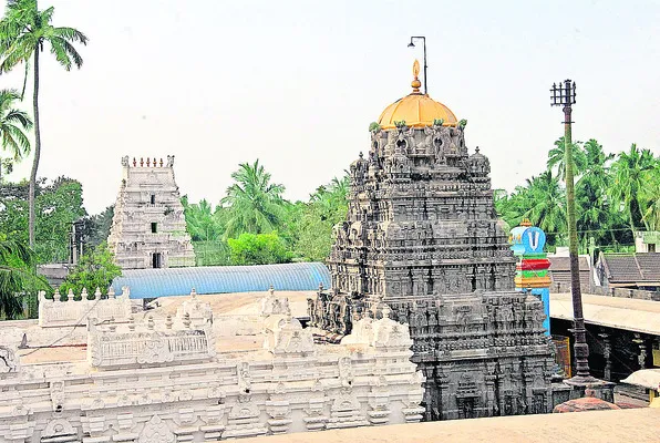 ట్రస్ట్ బోర్డులకు గ్రీన్ సిగ్నల్