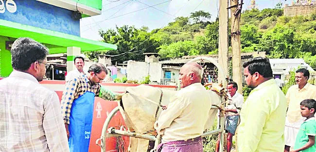 పుష్టిగా పశు సంపద సృష్టి! 