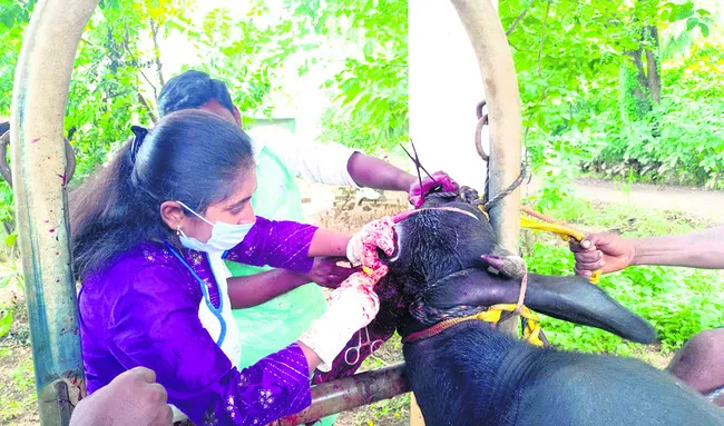 అధిక