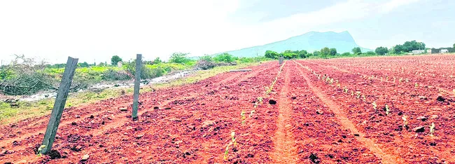 ప్రభుత్వ భూములు హాంఫట్