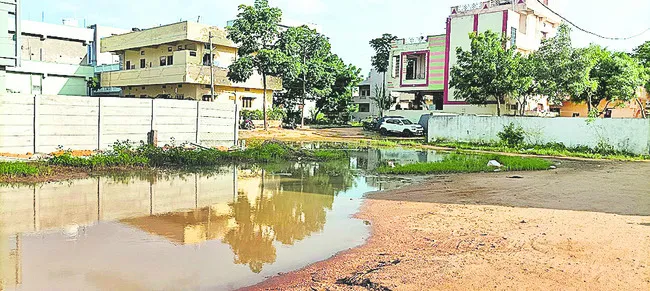 మౌలిక