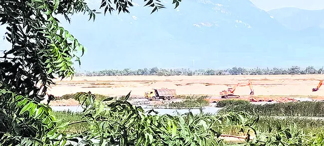 తమ్ము