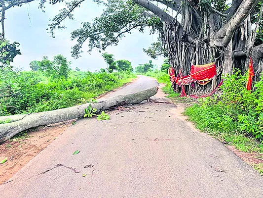 రాష్ట