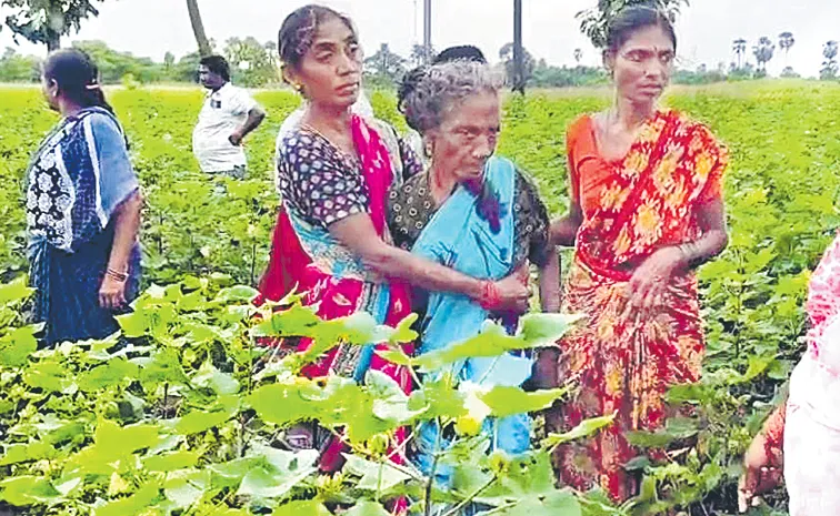 Warangal drew water from the well after old woman missing