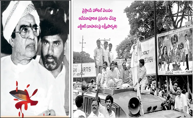 Sakshi Guest Column On Chandrababu Vennupotu To NTR
