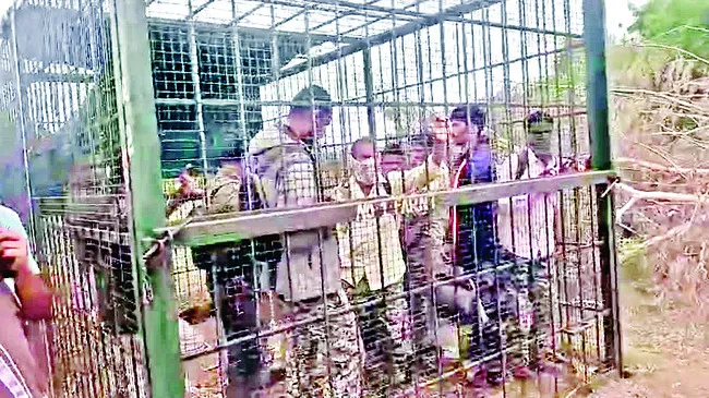 బోనులో అటవీ సిబ్బంది బందీ