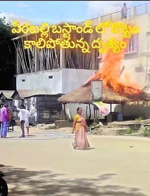 తెలుగు తమ్ముళ్ల అత్యుత్సాహం