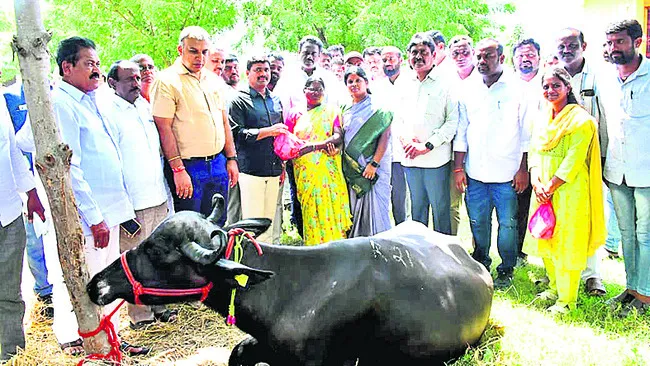 పాడి పరిశ్రమతో ఆర్థికాభివృద్ధి