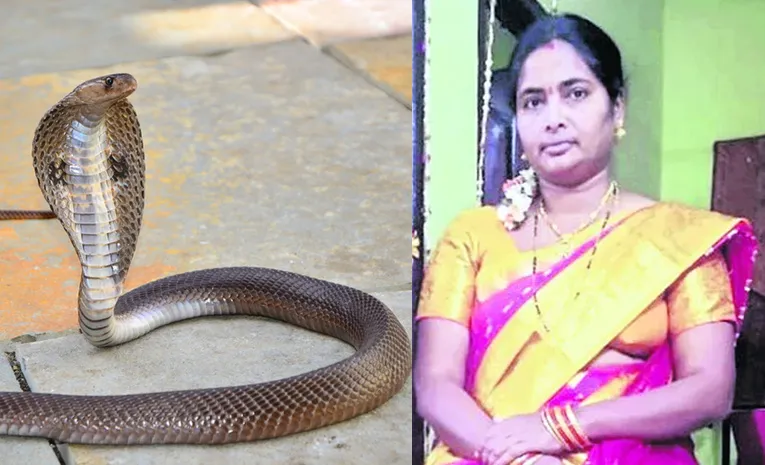 Snake bite woman in khammam